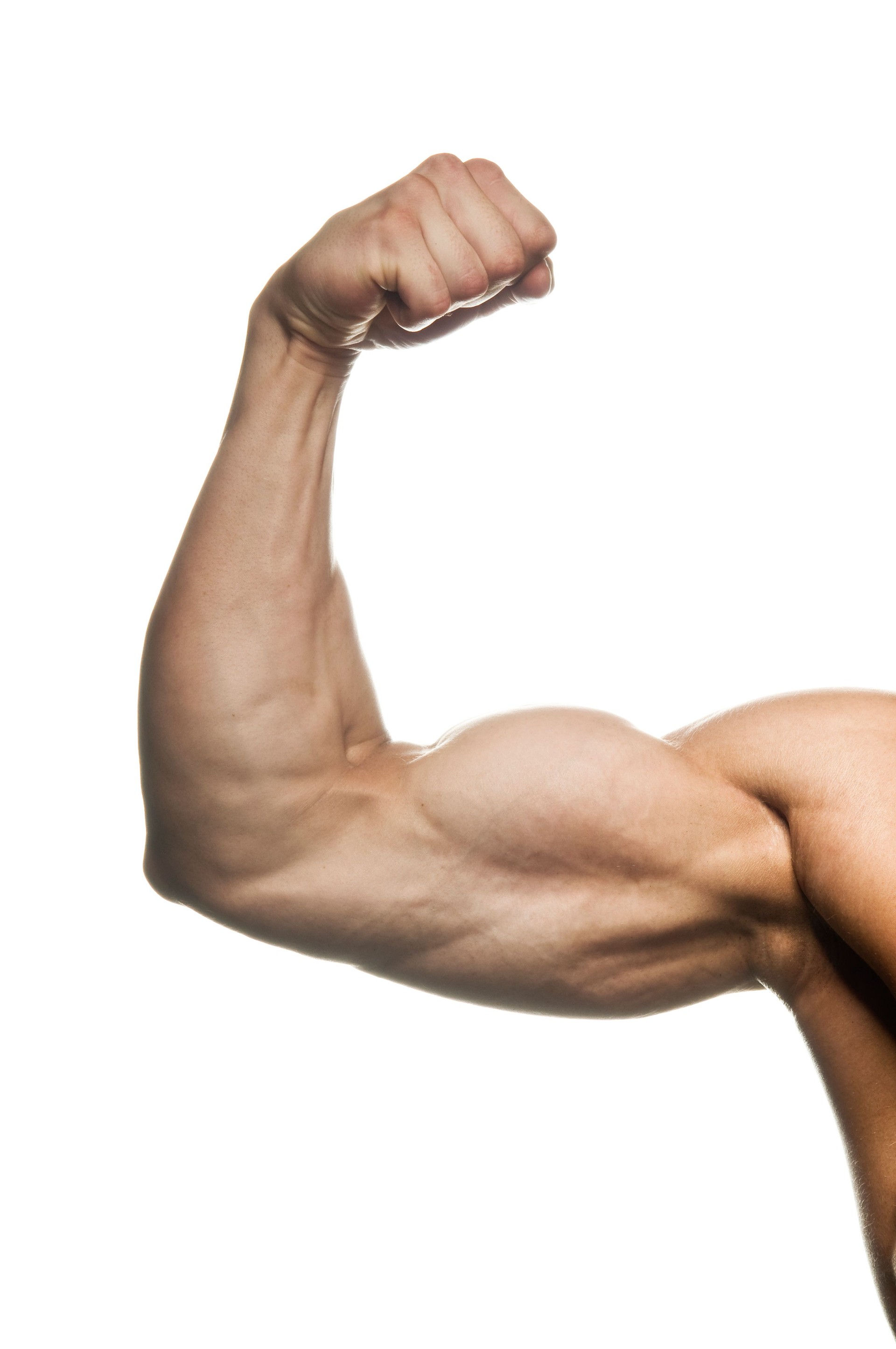 Flexed man's biceps